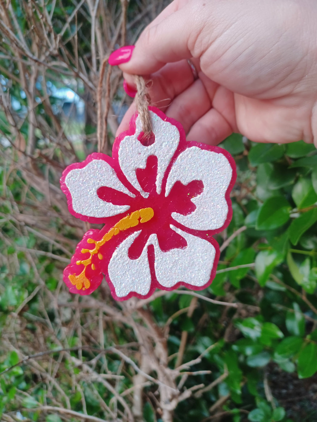 Hibiscus Flower