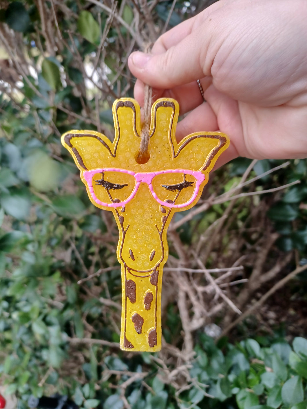 Giraffe with Glasses